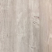 Сосна Эдмонт